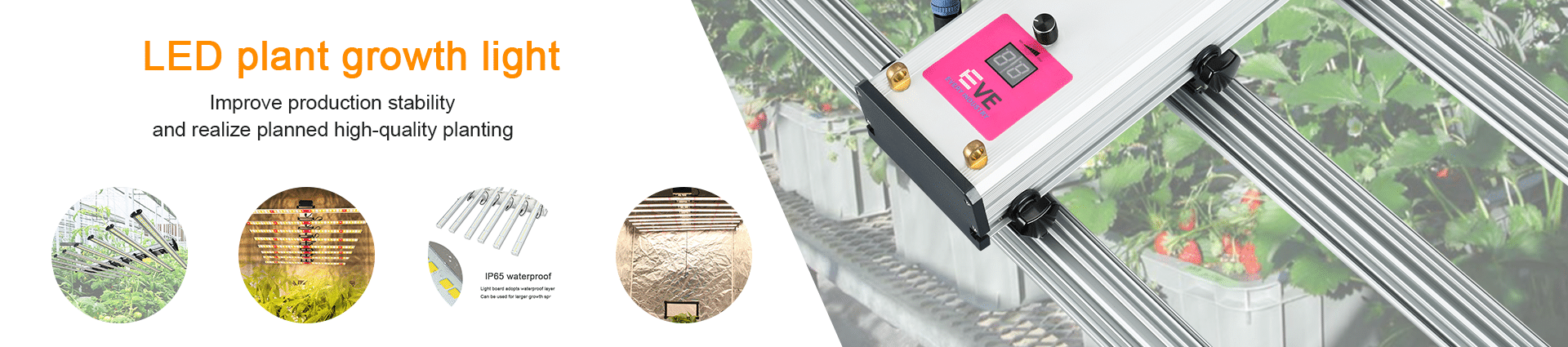 Led Grow Lights