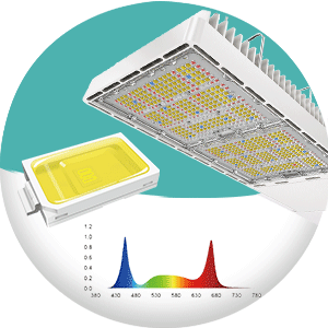 Grow Light P Series