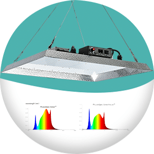 Grow Light TS Series