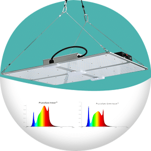 Grow Light SF Series